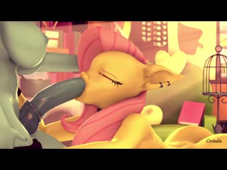 2381797 certedia rainbow-dash fluttershy animated anthro futa